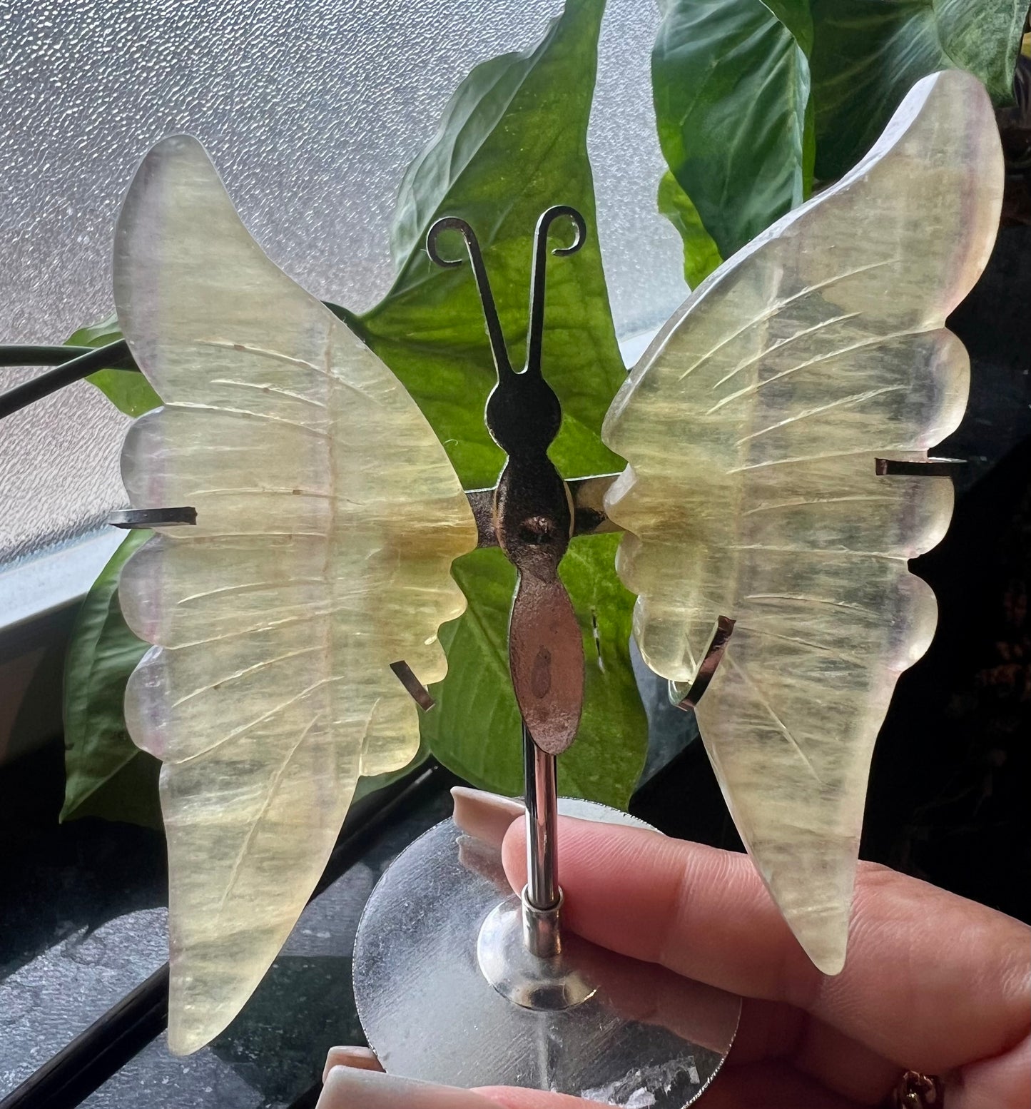Fluorite crystal butterfly